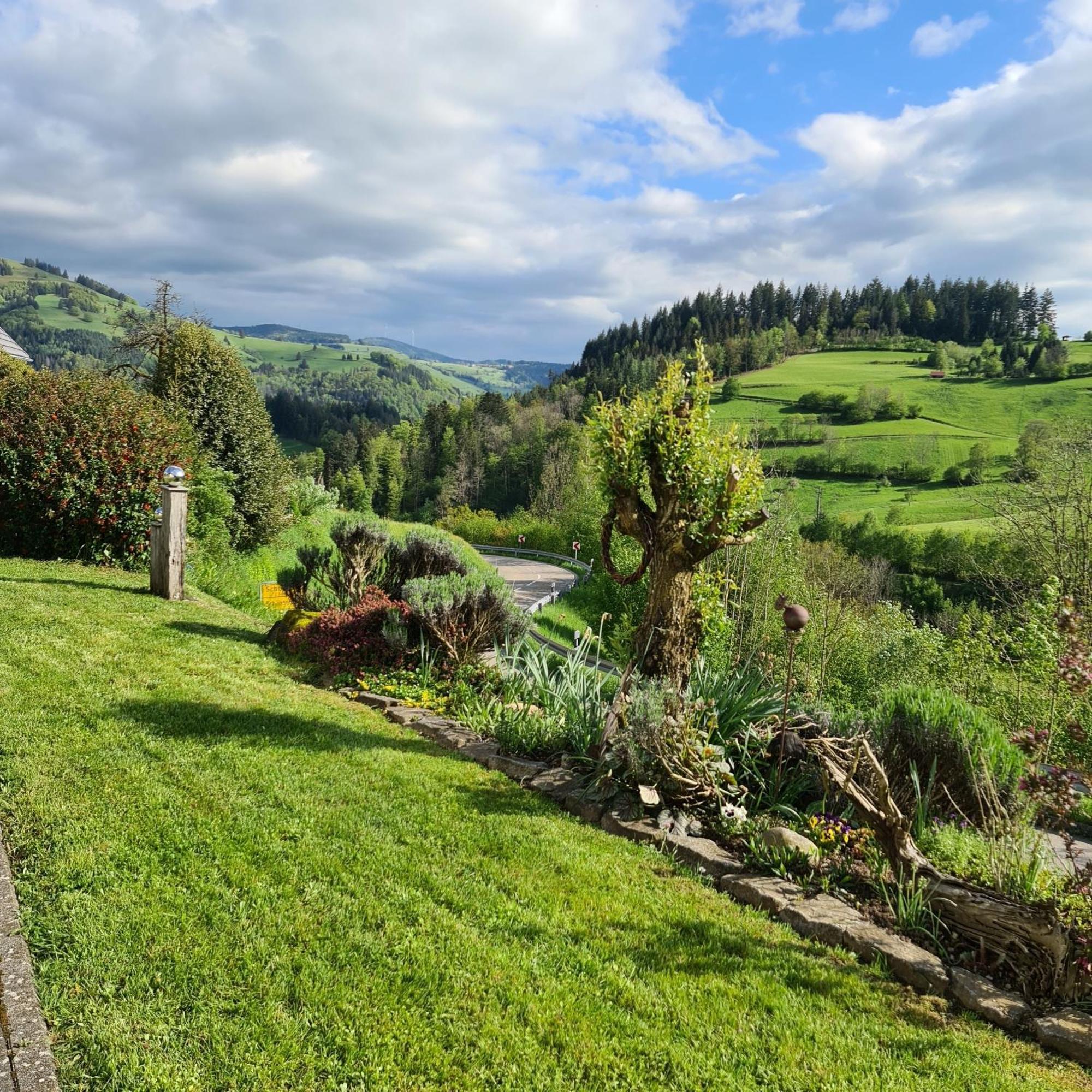 Haus Foehrenbach Appartement Schonenberg Buitenkant foto